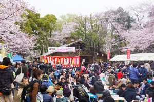 祭りの当日はあいにくの曇天でしたが、桜もきれいに咲いていて多くの人でにぎわっていました（2016年4月2日）