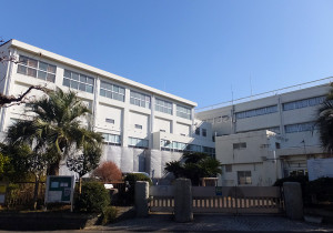 ソテツの木で知られる高田東小学校は日吉本町6丁目と接した位置に建つ