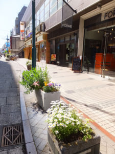 真島さんら「グループ花いっぱいTsunashima(綱島）」が美化に努める綱島西口商店街での活動は、多く通りかかる人にも好評を博している
