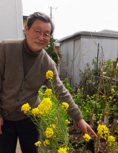 樹木医の池本三郎さんは日吉生まれ・育ち。3月27日（月）に植樹する「シドモア桜」を港北区役所の職員と一緒に接ぎ木し、準備しているという