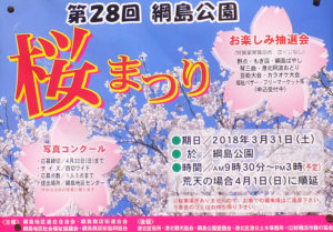 綱島の町内に貼られた「第28回 綱島公園桜まつり」のポスター。平成元年から初開催され、今年で満30年となった