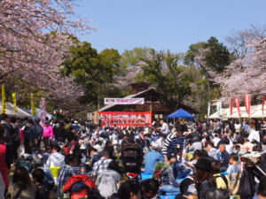 一人ひとりの想いを寄せて開催された「綱島公園桜まつり」。好天にも恵まれ、桜の花びらが舞う中、多くの人々が集い、ステージなどの催しを楽しんでいました（13時40分頃撮影）