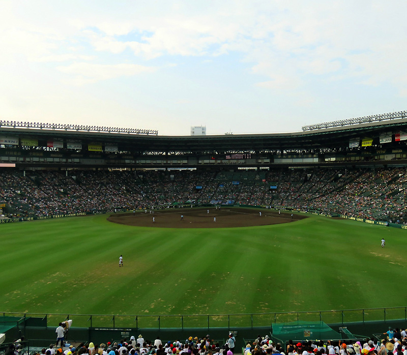 甲子園 8月12日 中央指定席中段 4枚
