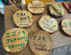 完成した25種類・計30枚の「樹木名板」は、松の川遊歩道（緑道）の樹木に設置。これらも若森さんが翻訳、小宮代表が監修を行った