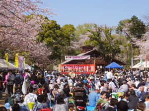 2年連続で 綱島公園桜まつり 中止 港北三大祭り はすべて断念 横浜日吉新聞