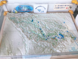 「ビー玉ころころ雨の道」では、鶴見川に雨水がどう集まるかをわかりやすく展示している（鶴見川流域センター提供）