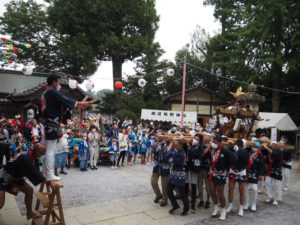 師岡熊野神社氏子神輿（みこし）会の豊泉清和会長の仕切りによりお神輿担ぎ。担ぎ手の威勢よい掛け声と大きな拍手が境内に響いていた