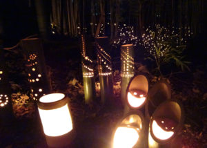 夜の小机城址に照らされる竹灯籠の魅力を堪能したい（同）