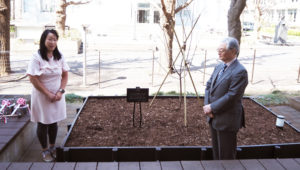 「シドモア桜」の植樹に臨んだ「シドモア桜の会・横浜」の梅本代表理事、慶應日吉キャンパスの國分事務長（右）