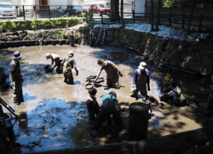 池の中で「泥だらけ」になりながら作業を行った。子どもたちにはザリガニ釣りの貴重な経験も