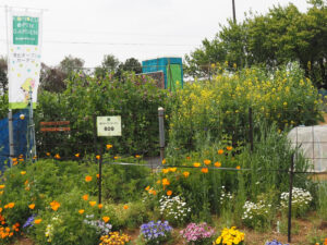 初参加となった高田町「藤田農園 虹色畑クラブ」の花壇。畑の前の道路沿いの季節の花たちが美しく畑を彩っていた（4月開催時）