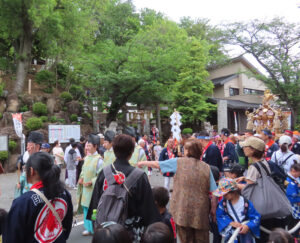 「宮神輿」は多くの人々が待ち受ける師岡熊野神社前に到着
