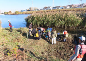綱島東6丁目の鶴見川の河川敷に新たに完成した「綱島東汽水性湿地」のお披露目イベントには約20人が参加し生きもの探しや観察を楽しんだ（12月7日）