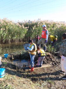 説明を終え、早速「汽水性湿地」のワンドでの生き物探しがスタート