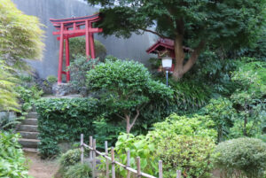 昨年（2025年）は「古民家と鳥居のあるお庭」として港北区の花と緑のイベント「港北オープンガーデン」にも初参加。旧小机城主笠原家の子孫「冨川家」の庭であることも紹介