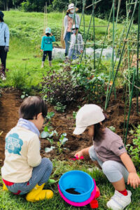 肥後さんは「来年(2027)年3月から横浜で開催される『グリーンエクスポ(GREEN×EXPO)2027』を盛り上げるためにも、梅の丘公園でさまざまなイベントやワークショップを行なっていきたい」と考えているという(師岡町梅の丘公園での活動の様子、「熊野の森もろおかスタイル」提供)