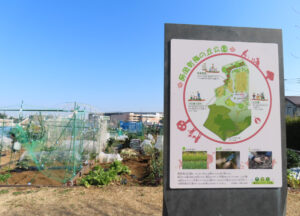 冬の厳しい寒さも一段落したのか、晴天かつ穏やかな気候の中、師岡町梅の丘公園「梅の植樹祭」が開かれました