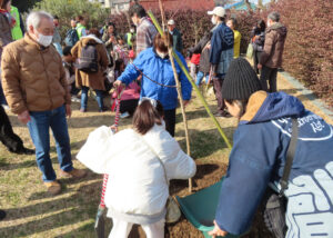 続いて公園の北側で「白加賀」や「豊後」、「南高梅」の3品種4本の植樹も行いました