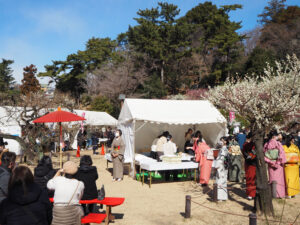英理女子学院高校による「野点」の様子。今年(2026年)は茶道部や有志の生徒20人超が参加する予定(2025年2月開催時)