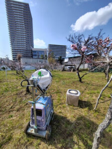 ライトアップのための機器の設置作業が行われた。前方に見えるのが新綱島駅方面（新綱島スクエア）（3月23日、池谷桃園提供）