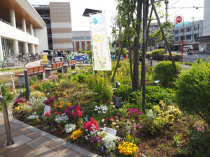 昨年（2025年）初参加の「アピタテラス横浜綱島SSTガーデン」も街の賑わいに花を添えていた（4月18日）