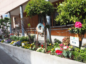 大豆戸町内会館「ま～め～どの庭」も昨年（2025年）に初登場。今年も新たな会場との出会いも楽しみにしたい（4月18日）